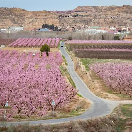 With Private Pool * Fraga