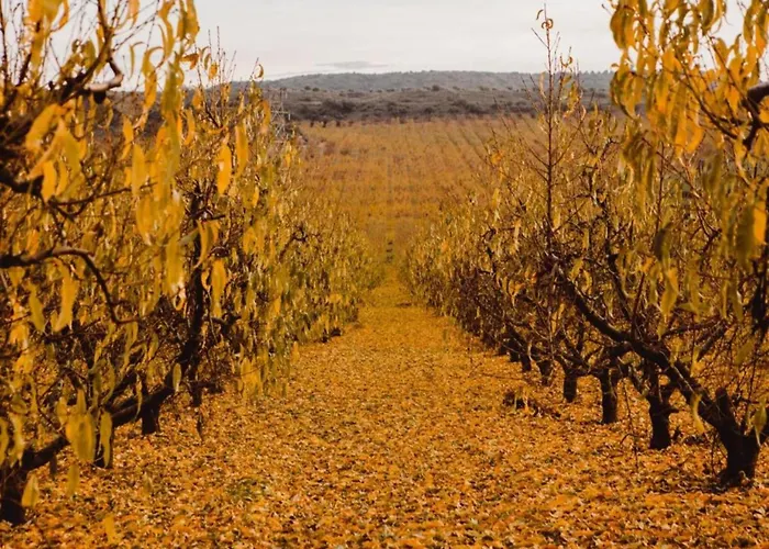 With Private Pool * Fraga