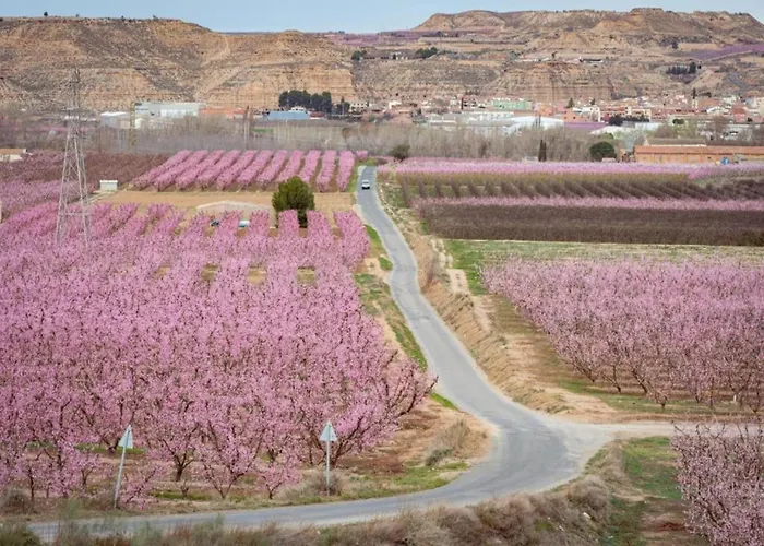 With Private Pool * Fraga