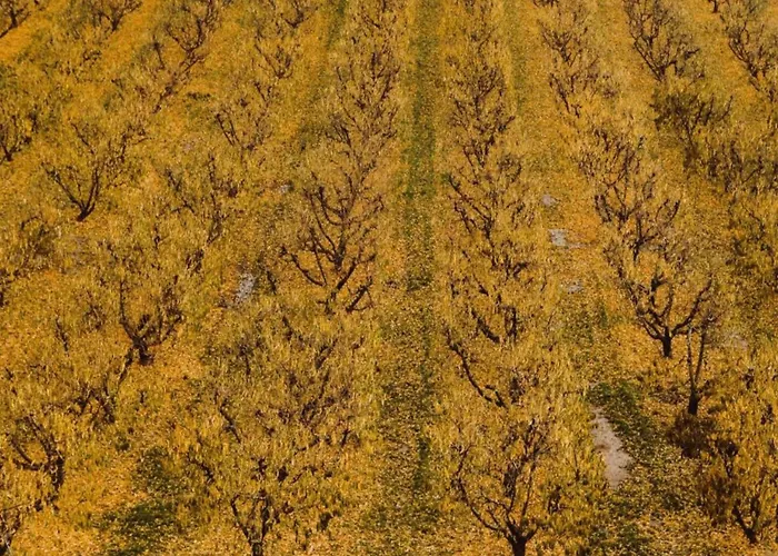 With Private Pool * Fraga